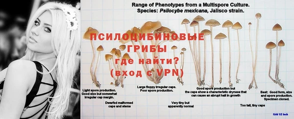 молекула духа Абинск