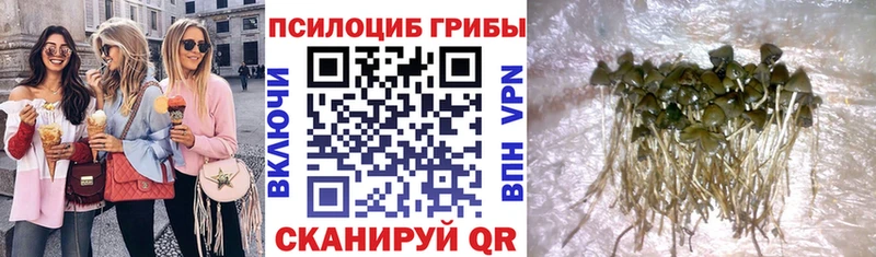 магазин продажи   ОМГ ОМГ ONION  Галлюциногенные грибы GOLDEN TEACHER  Калачинск 